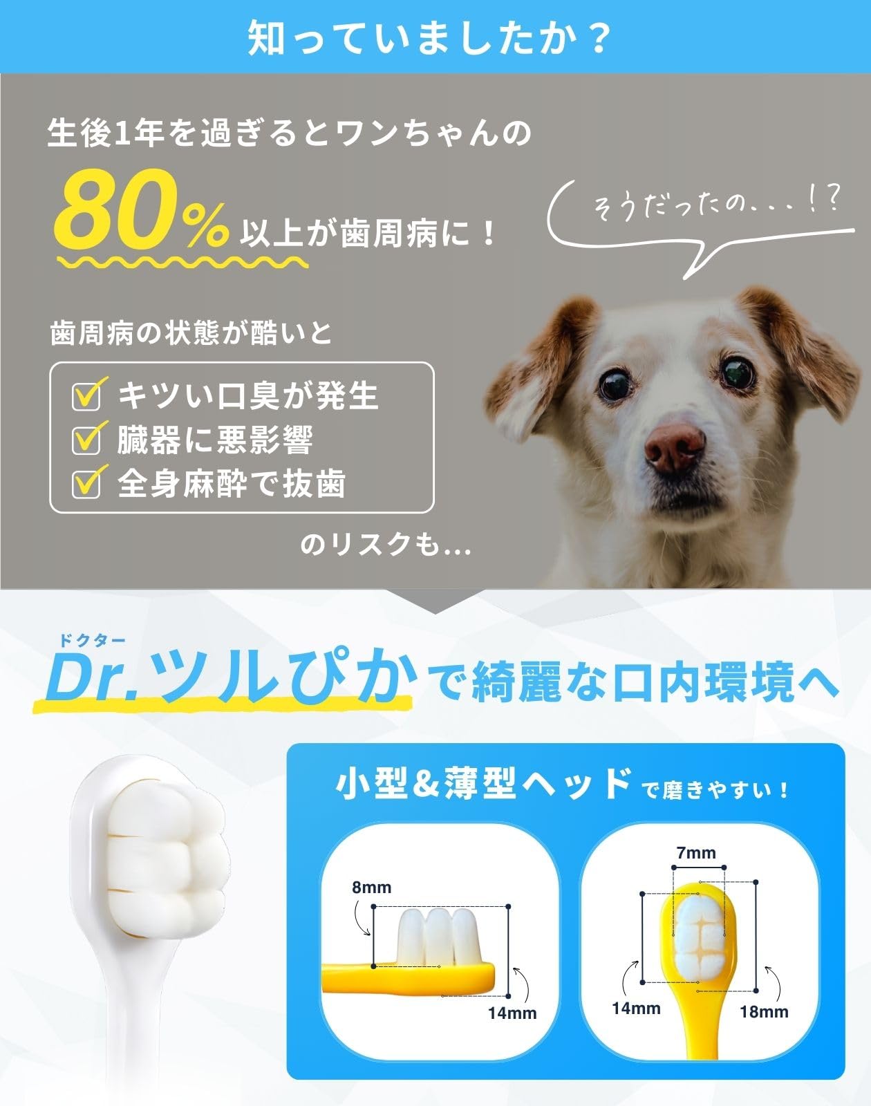 Amazon.co.jp: 【動物病院認定】 犬健ラボ 犬 歯ブラシ 小型犬 中型犬